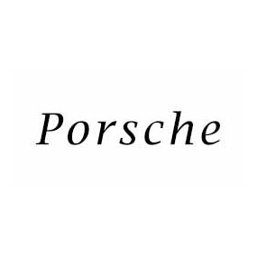 Luz matrícula diodo EMISSOR de luz Porsche da marca Zesfor®