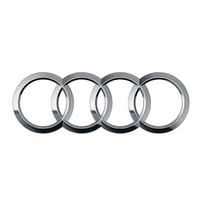 Diagnosis Audi. Maquina, Interface y Scanner